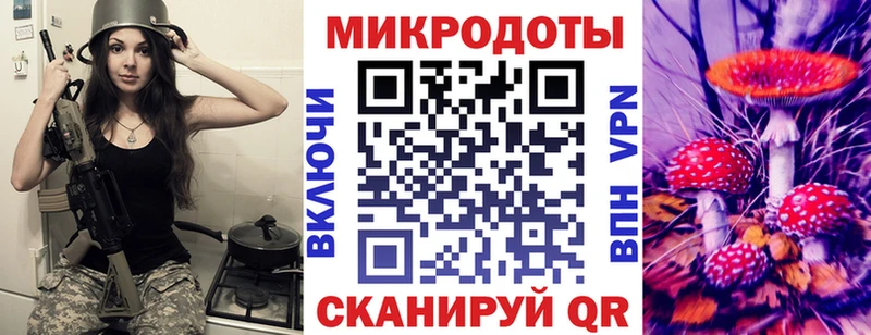 Галлюциногенные грибы Psilocybine cubensis  закладки  Холмск 